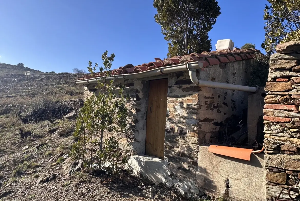 Terrain agricole à Port-Vendres avec vignobles et vue mer - 6170 m² 