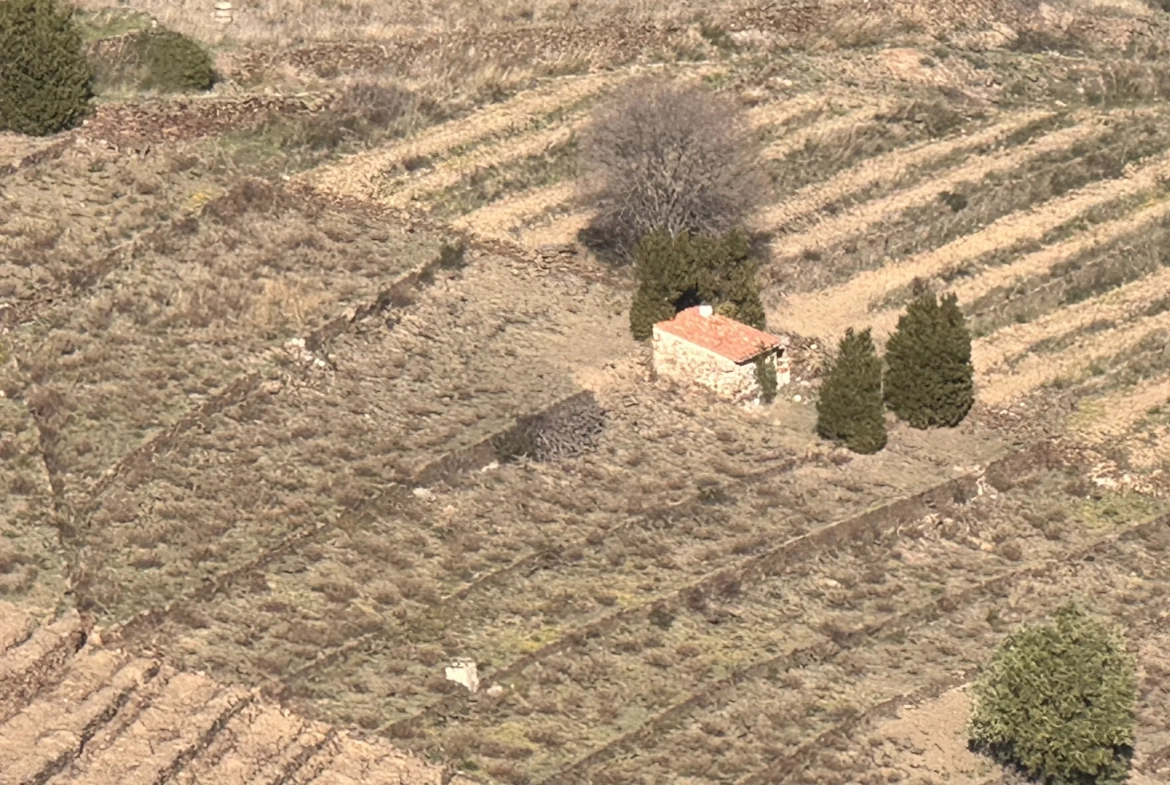 Terrain agricole à Port-Vendres avec vignobles et vue mer - 6170 m² 