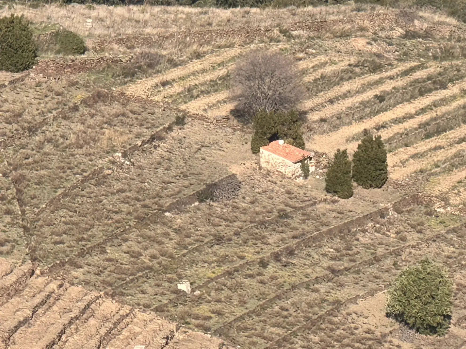 Terrain agricole à Port-Vendres avec vignobles et vue mer - 6170 m² 
