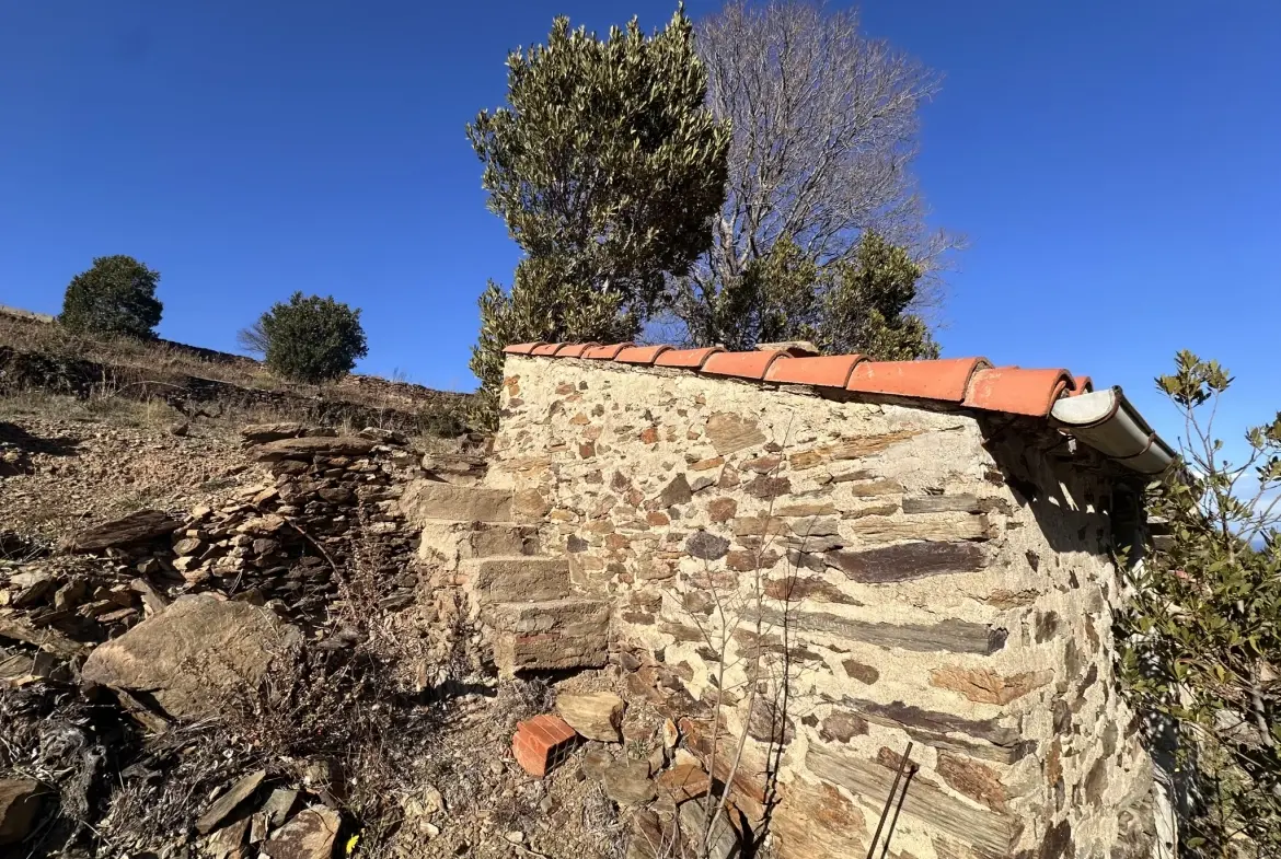 Terrain agricole à Port-Vendres avec vignobles et vue mer - 6170 m² 