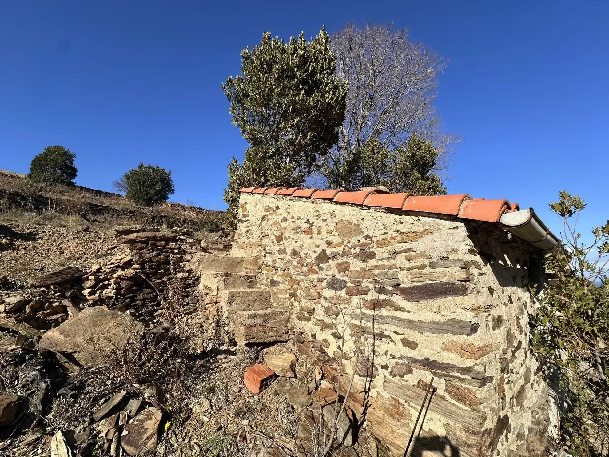 Terrain agricole à Port-Vendres avec vignobles et vue mer - 6170 m² 