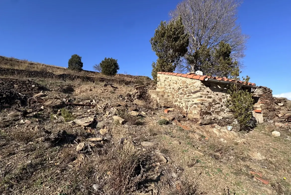 Terrain agricole à Port-Vendres avec vignobles et vue mer - 6170 m² 