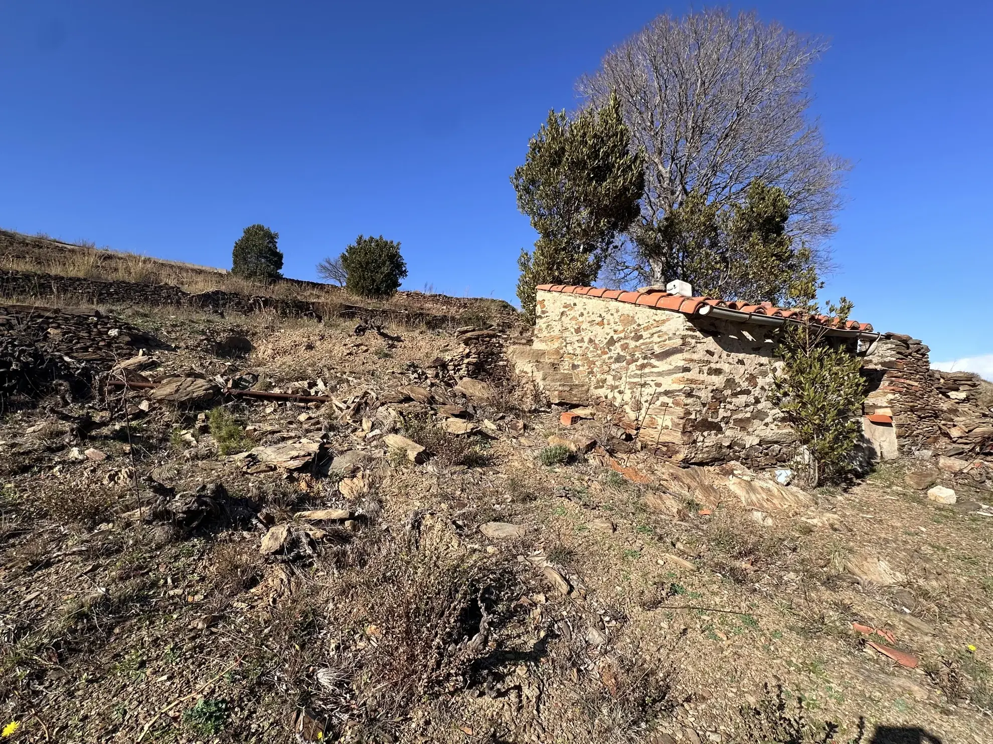 Terrain agricole à Port-Vendres avec vignobles et vue mer - 6170 m² 