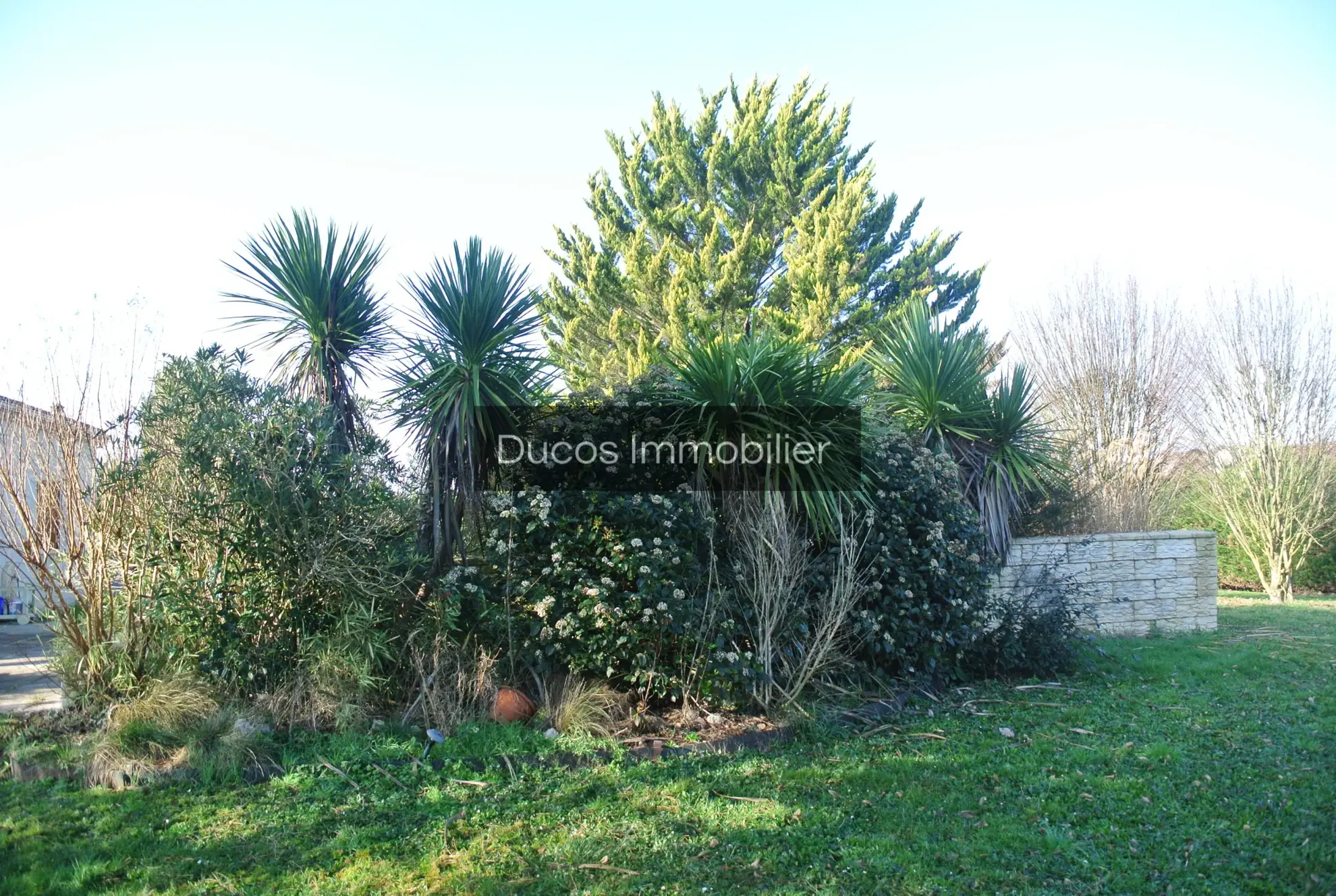 Maison 3 chambres avec piscine à Miramont de Guyenne - Terrain 2500 m² 