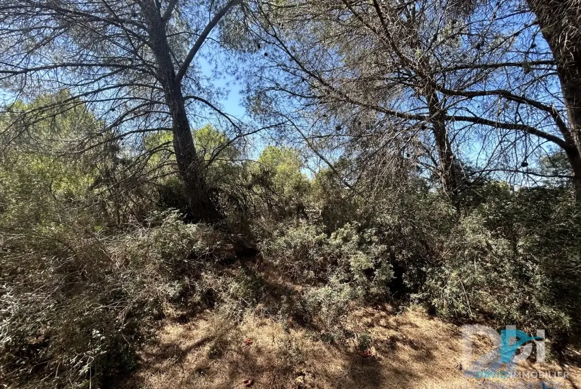 Terrain agricole de 1900 m² à Montblanc en garrigue, calme et accessible 