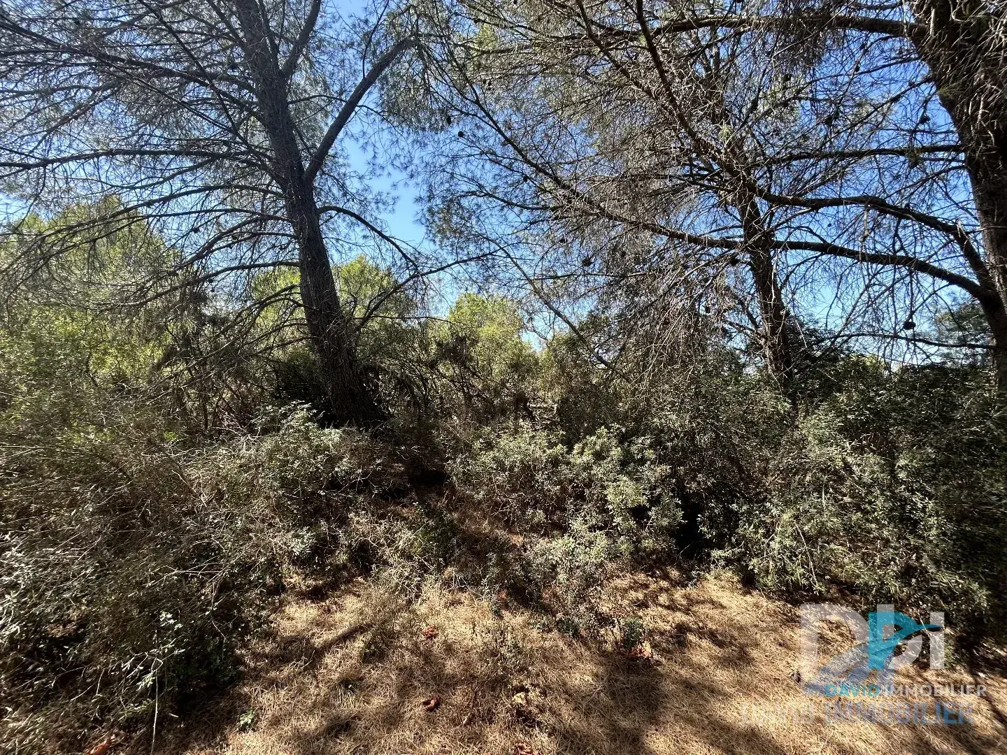 Terrain agricole de 1900 m² à Montblanc en garrigue, calme et accessible 
