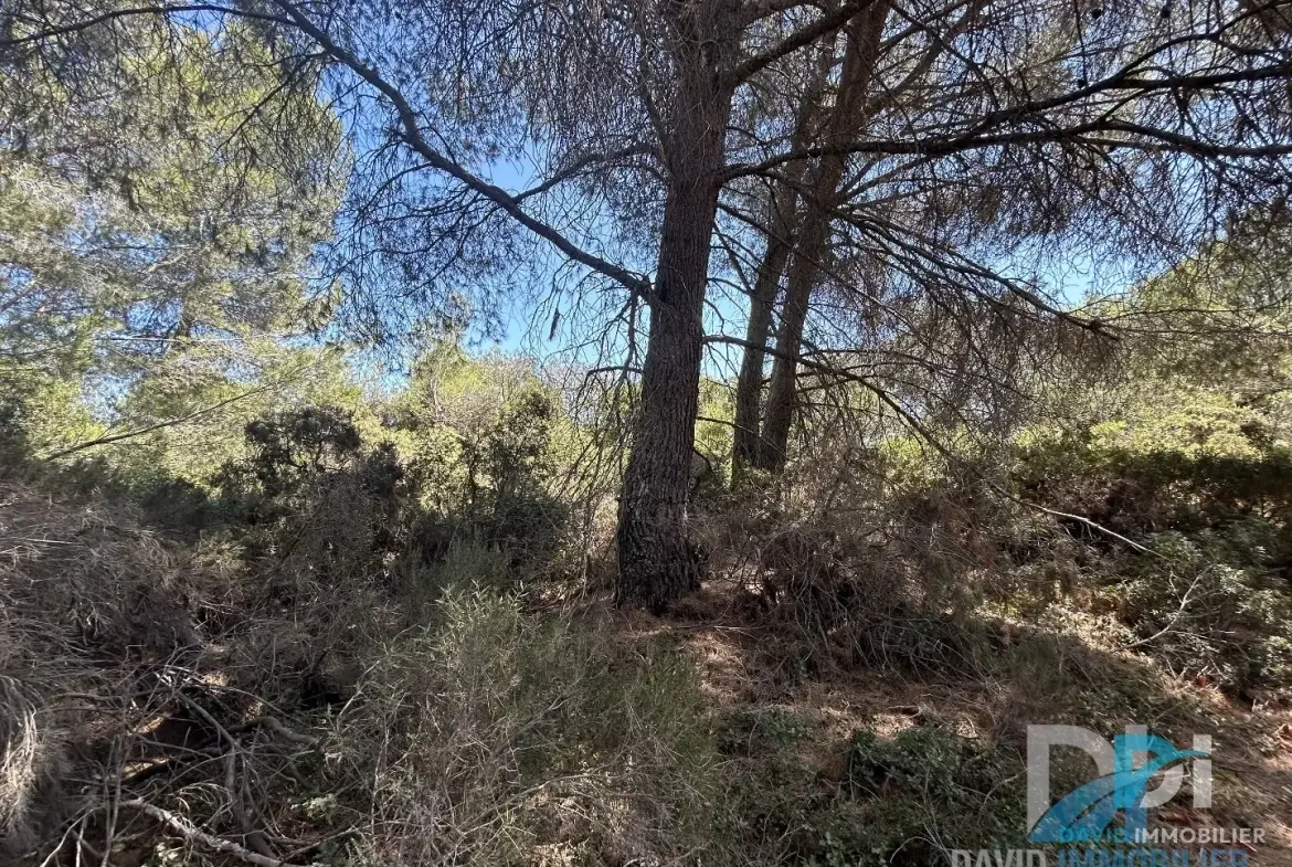 Terrain agricole de 1900 m² à Montblanc en garrigue, calme et accessible 