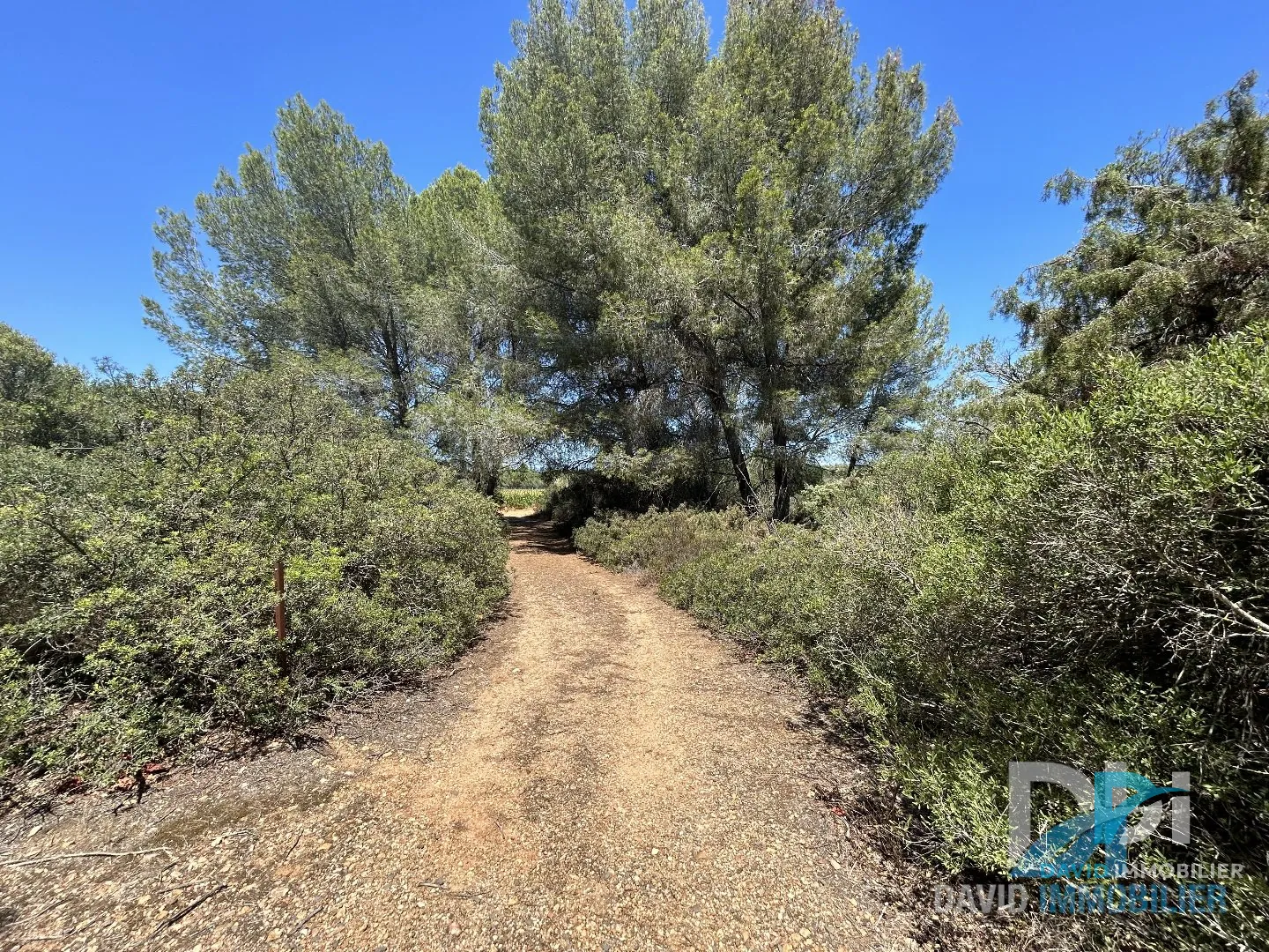 Terrain agricole de 1900 m² à Montblanc en garrigue, calme et accessible 