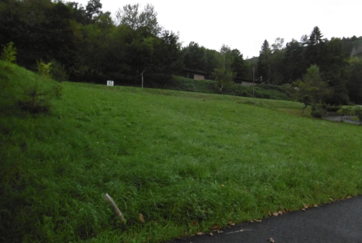 Terrain constructible à Saint-Martin dans la vallée de Villé – 10 ares 