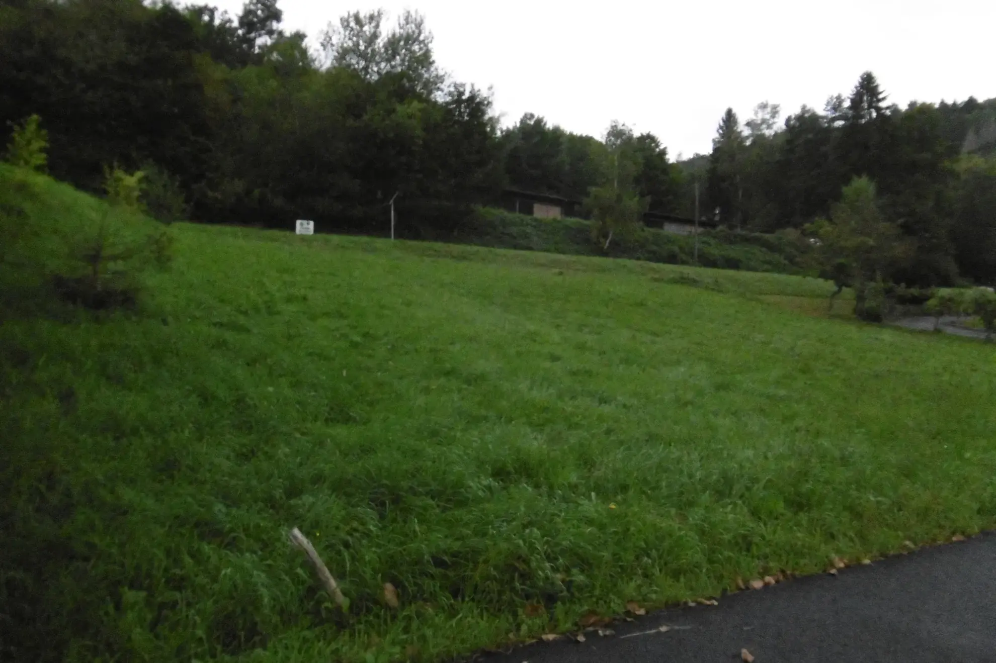 Terrain constructible à Saint-Martin dans la vallée de Villé – 10 ares 