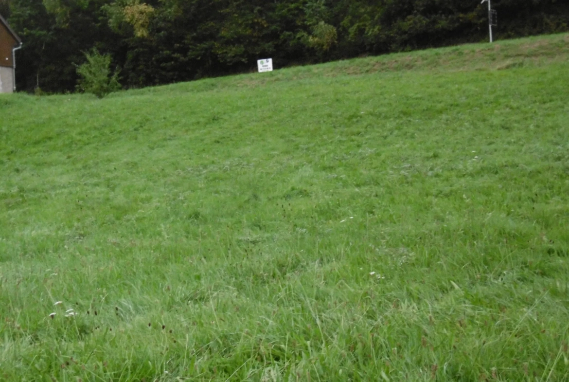 Terrain constructible à Saint-Martin dans la vallée de Villé – 10 ares 