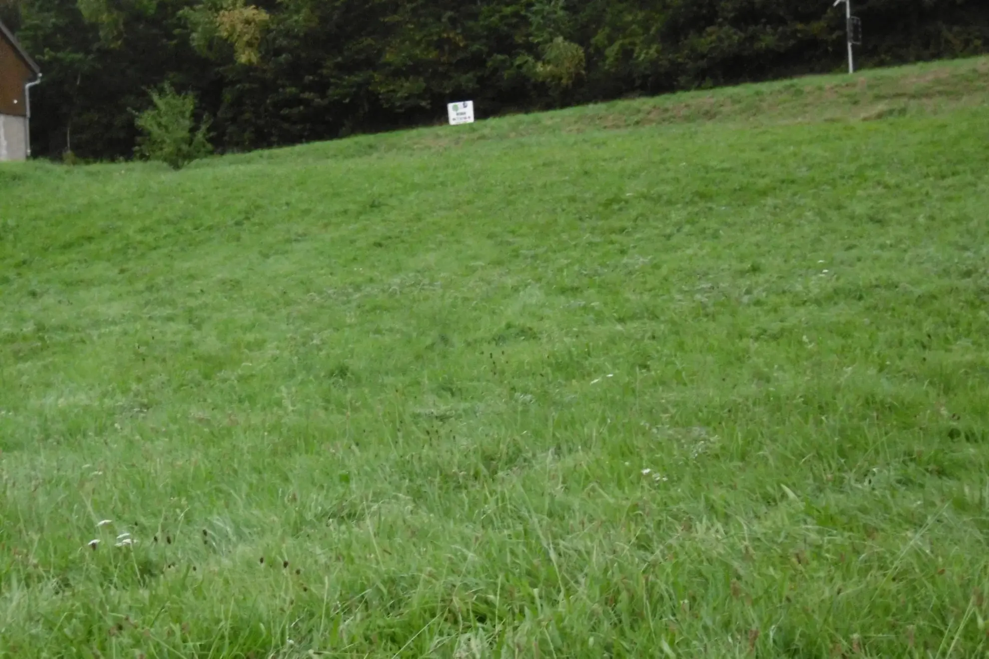 Terrain constructible à Saint-Martin dans la vallée de Villé – 10 ares 