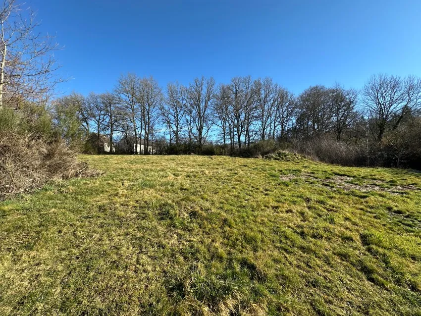 Grand ensemble immobilier à Saint Gervais d'Auvergne avec maison, dépendances et terrain de 5000 m² 