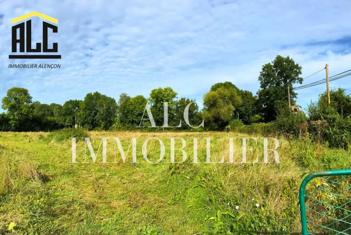Terrain constructible de 1505 m² à Villeneuve-en-Perseigne, viabilisé 