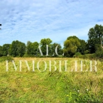 Terrain constructible de 1505 m² à Villeneuve-en-Perseigne, viabilisé