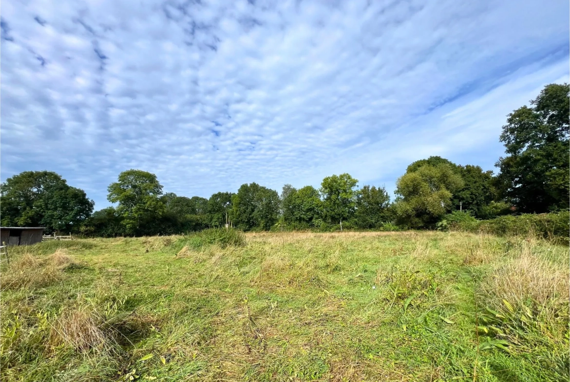 Terrain constructible de 1505 m² à Villeneuve-en-Perseigne, viabilisé 