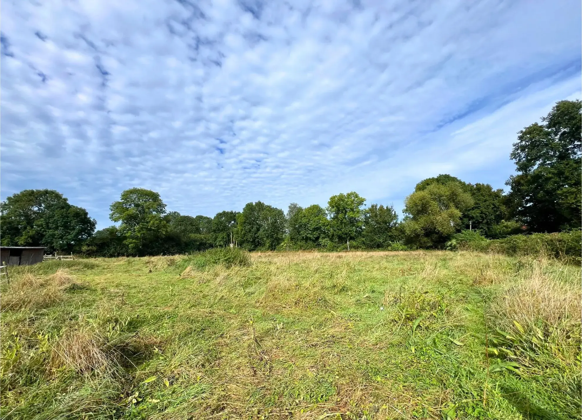 Terrain constructible de 1505 m² à Villeneuve-en-Perseigne, viabilisé 