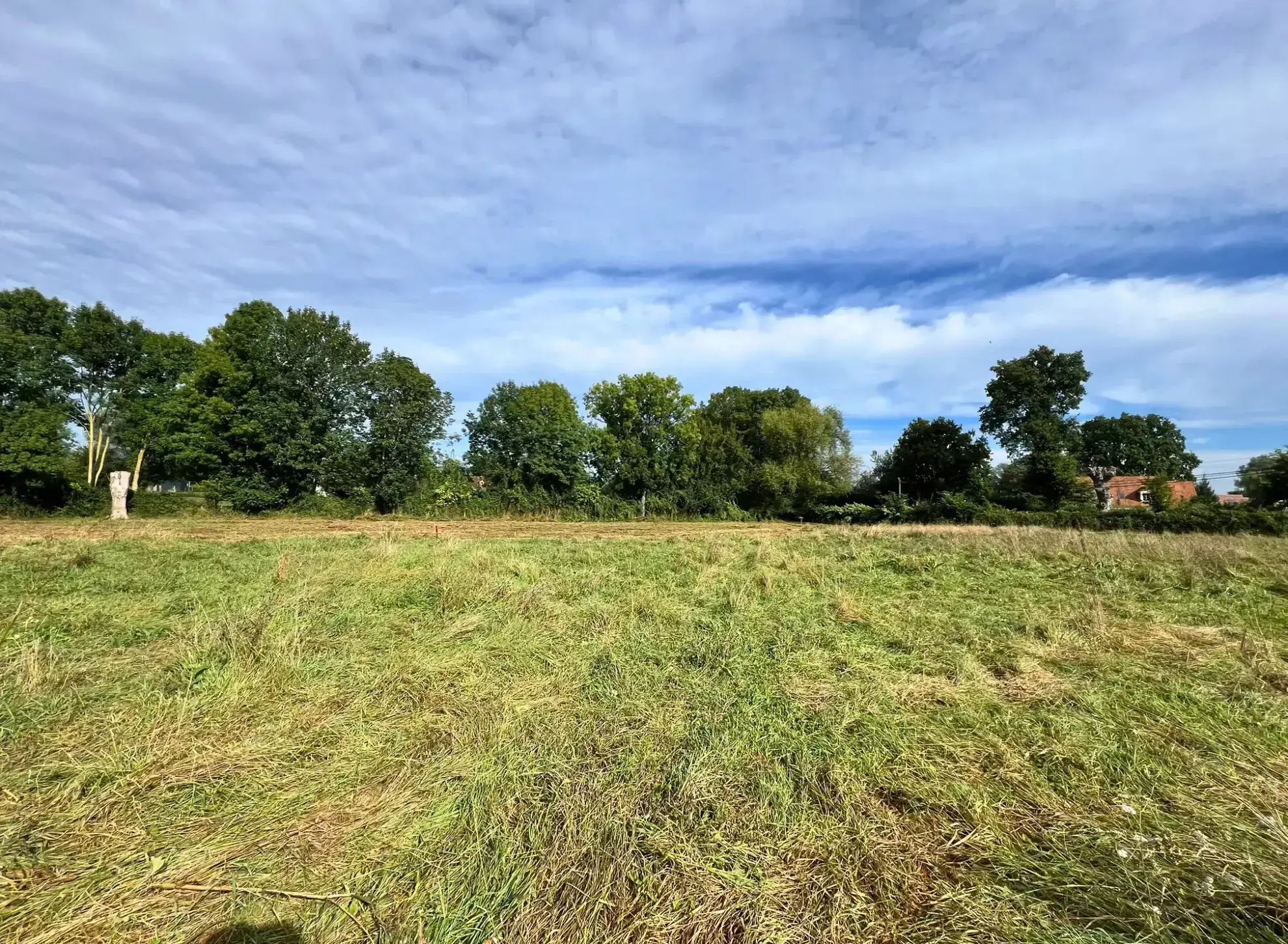 Terrain constructible de 1505 m² à Villeneuve-en-Perseigne, viabilisé 