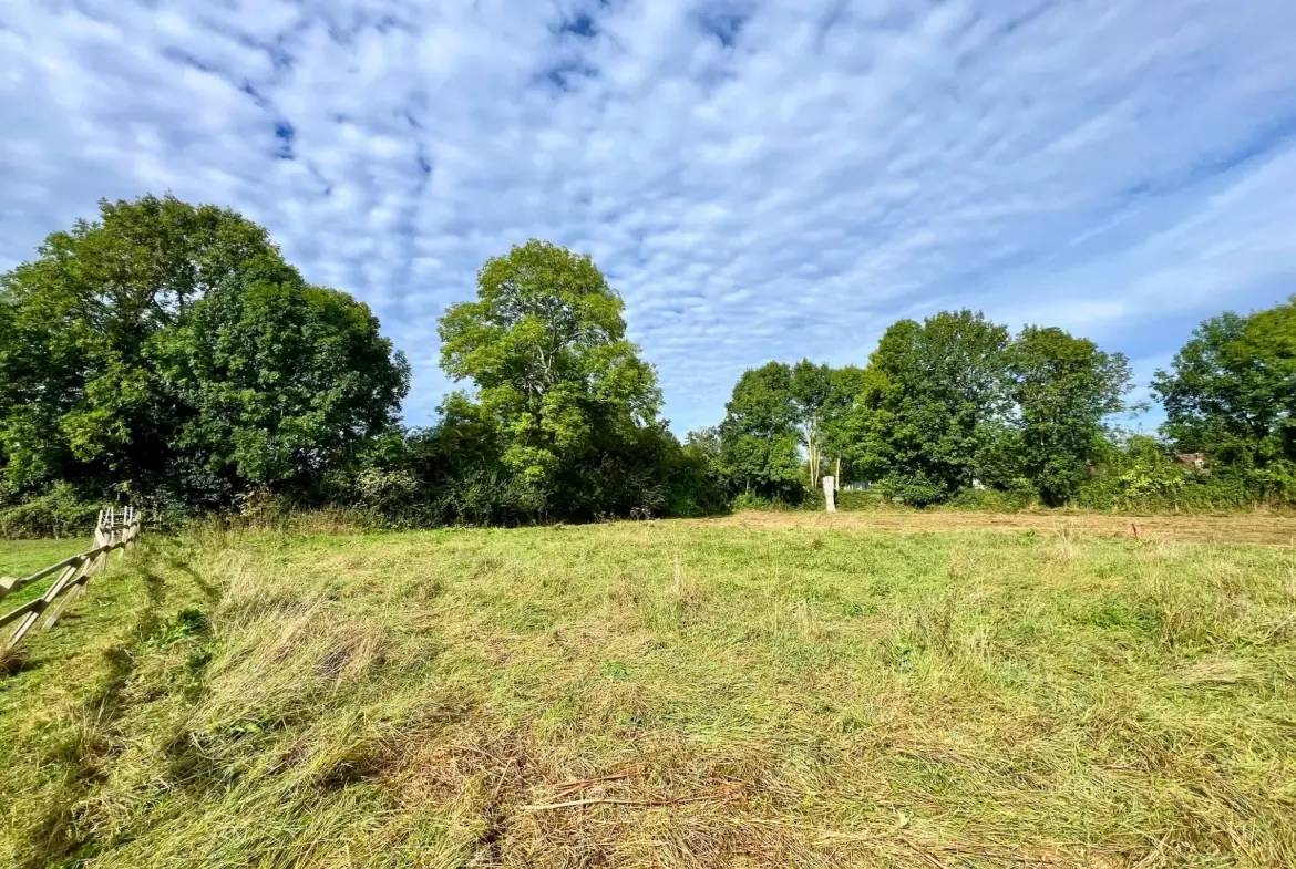 Terrain constructible de 1505 m² à Villeneuve-en-Perseigne, viabilisé 