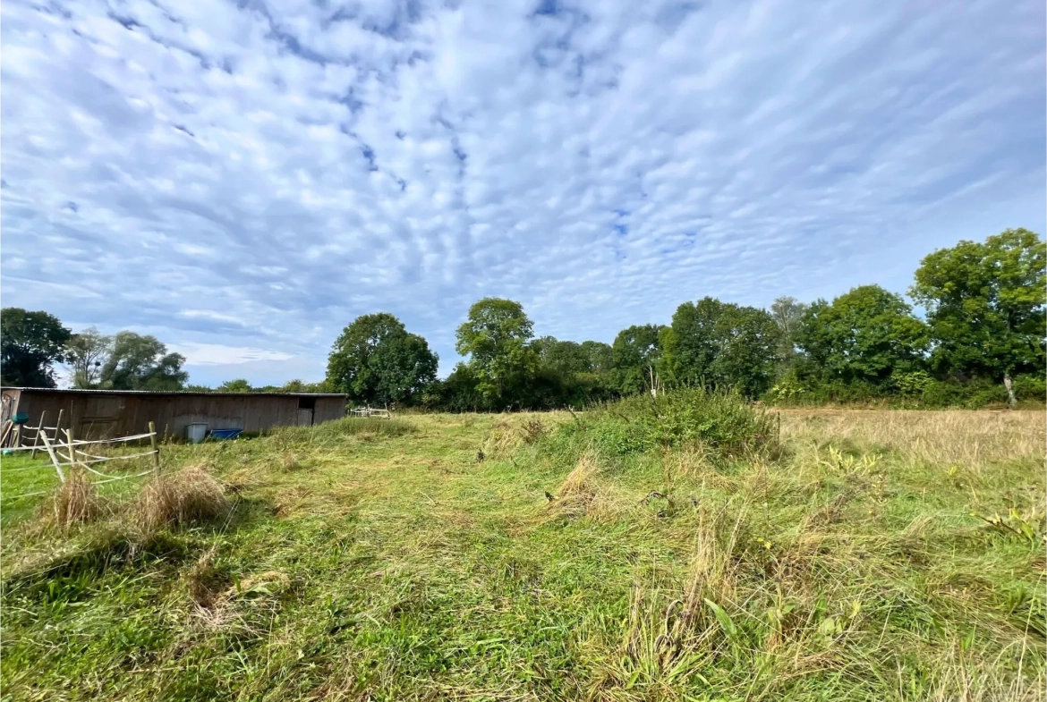 Terrain constructible de 1505 m² à Villeneuve-en-Perseigne, viabilisé 