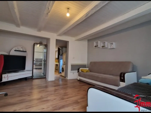 Maison F2 avec grand jardin à Hégenheim – Idéal investisseur ou primo-accédant 