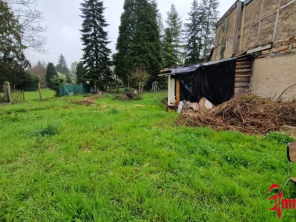 Maison F2 avec grand jardin à Hégenheim – Idéal investisseur ou primo-accédant 