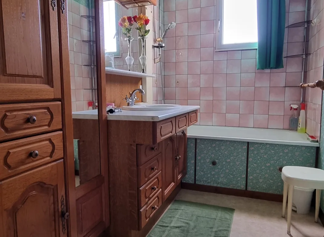 Maison familiale 3 chambres avec jardin à Bray-sur-Seine (77) 
