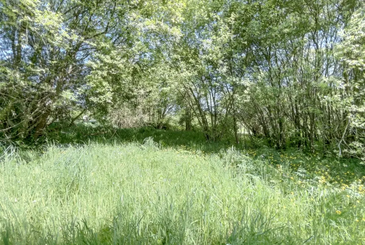 Charmante maison en pierre avec dépendances et grand terrain à Quistinic 