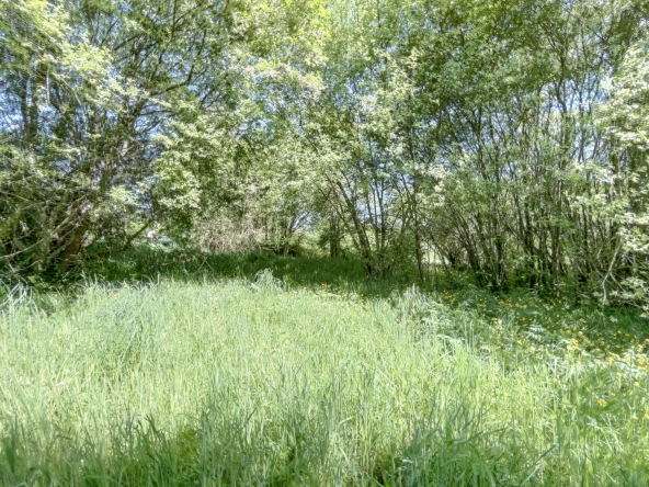 Charmante maison en pierre avec dépendances et grand terrain à Quistinic 