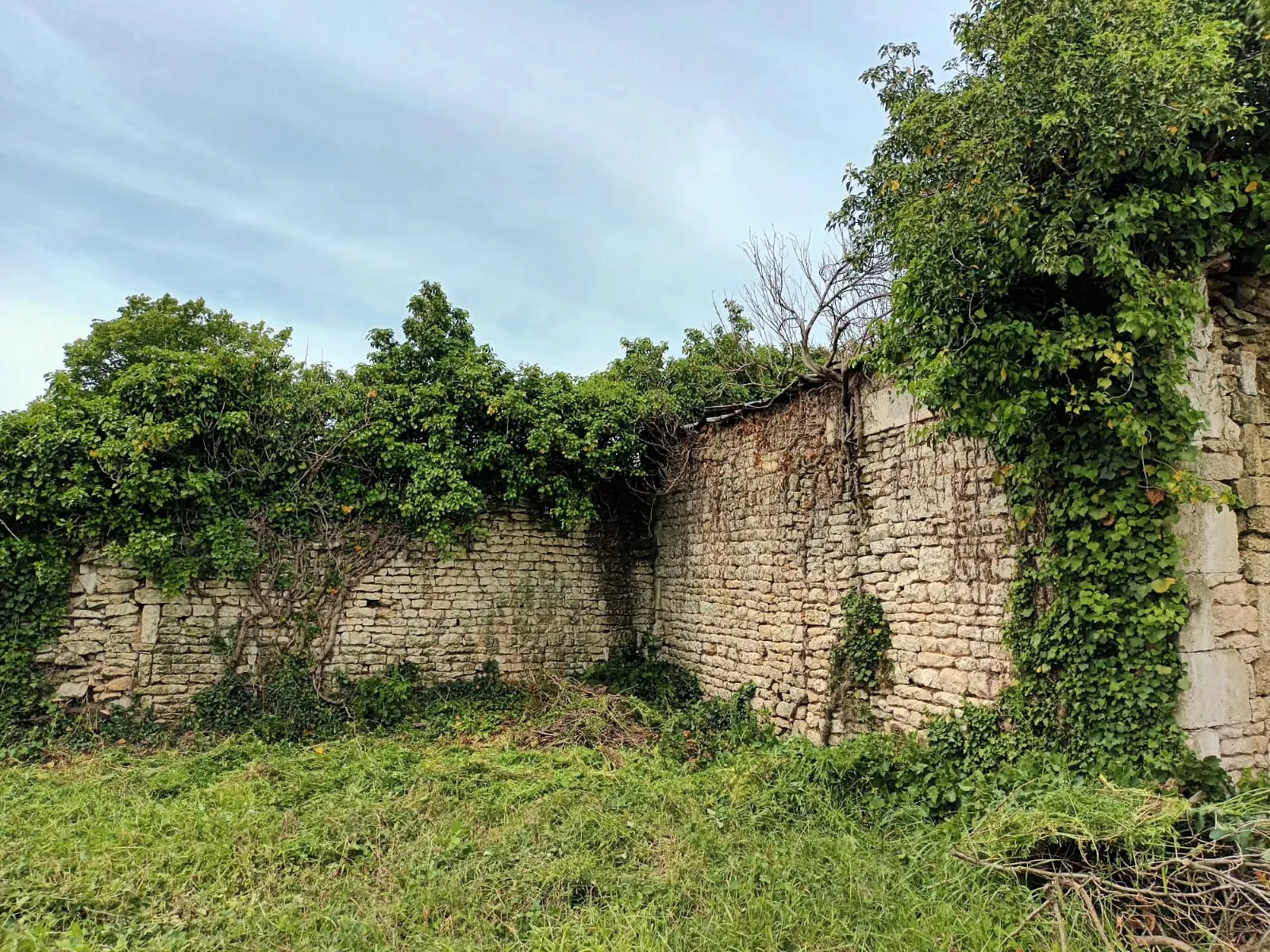 Terrain constructible à Benet avec ruines et extension possible, idéal pour installation dans un cadre privilégié 