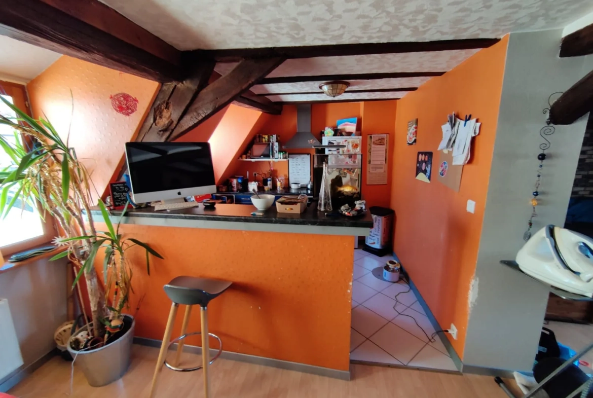 Maison de ville rénovée avec 3 appartements à Wissembourg 