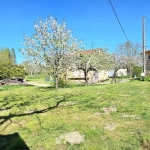 Atypique maison de 223 m² avec dépendances et terrain arboré à Ste Suzanne