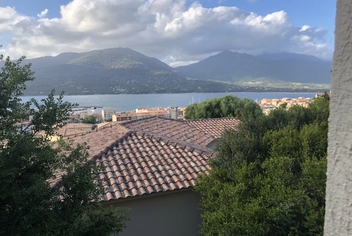 Charmant T2 avec vue mer, studio indépendant, parking et terrasse à Propriano 