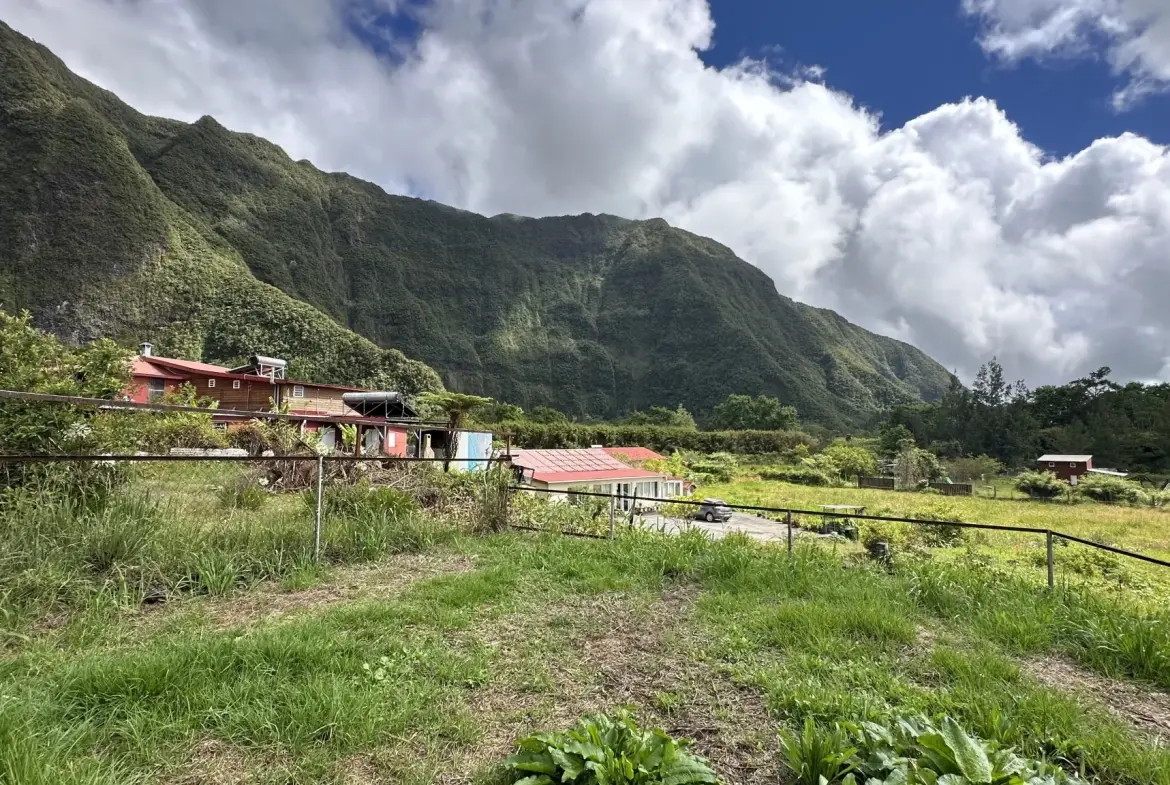 Maison F4 avec vue montagne à La Plaine des Palmistes - 92m² 
