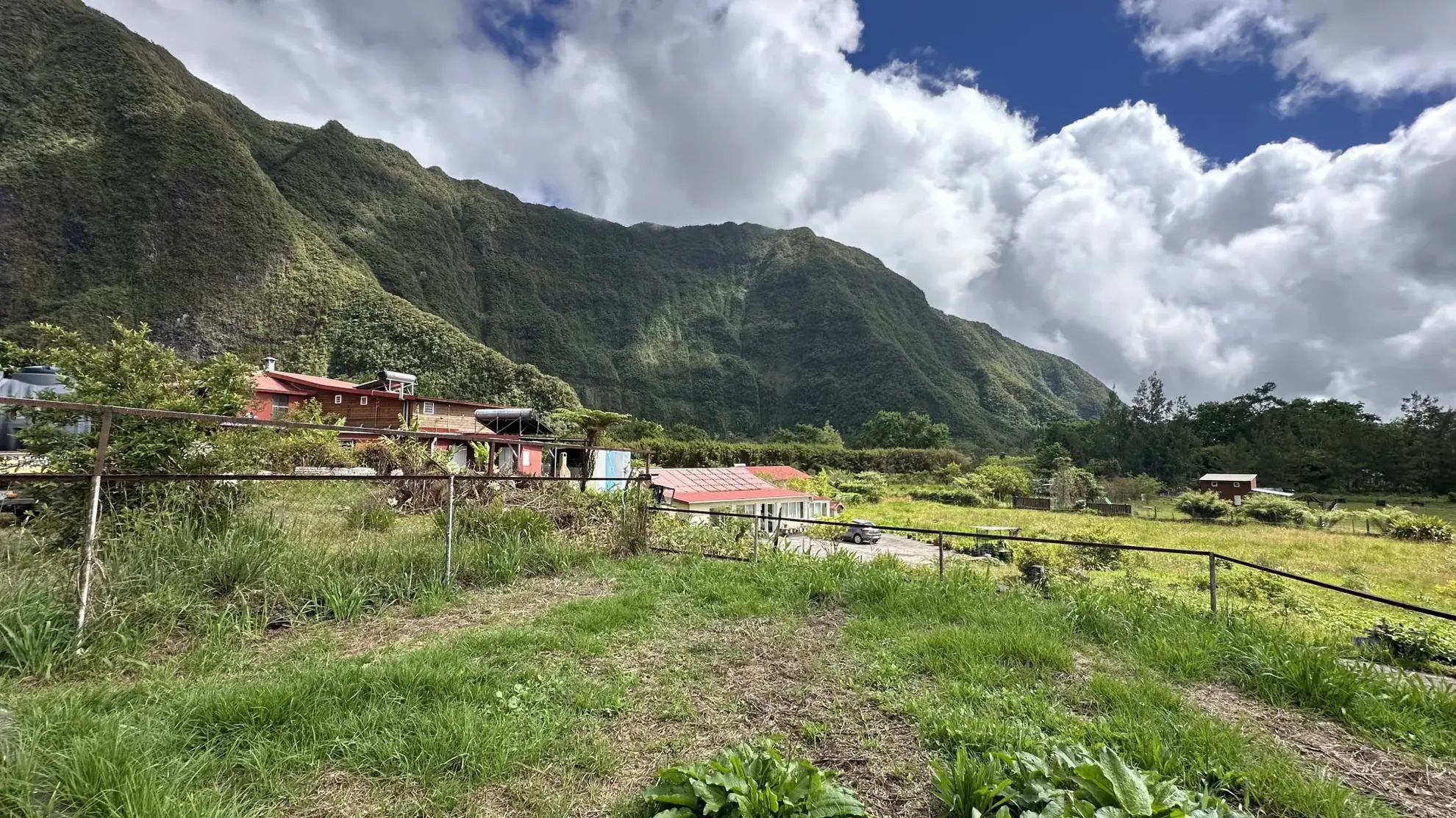 Maison F4 avec vue montagne à La Plaine des Palmistes - 92m² 