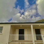Maison F4 avec vue montagne à La Plaine des Palmistes - 92m²