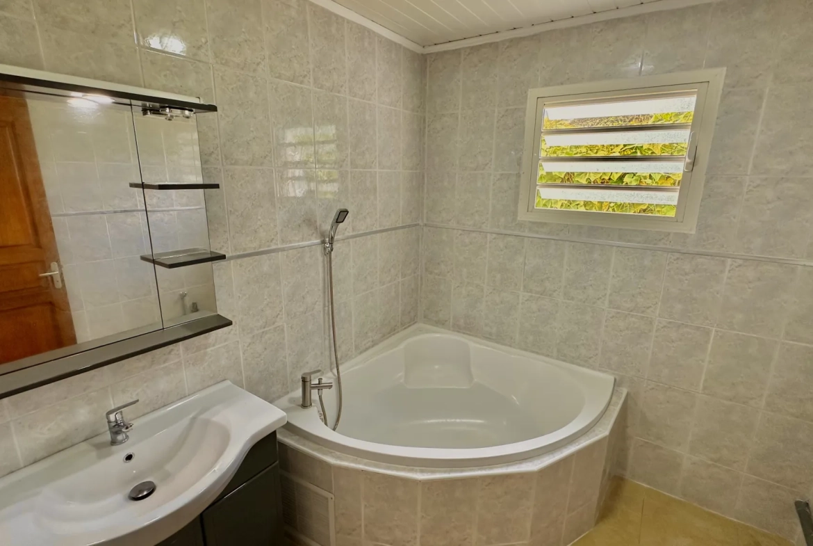 Maison F4 avec vue montagne à La Plaine des Palmistes - 92m² 