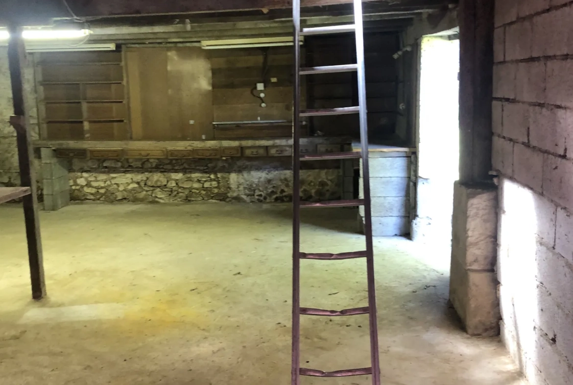 Charmante maison girondine de 120 m² avec dépendance et grand terrain entre La Réole et Marmande 