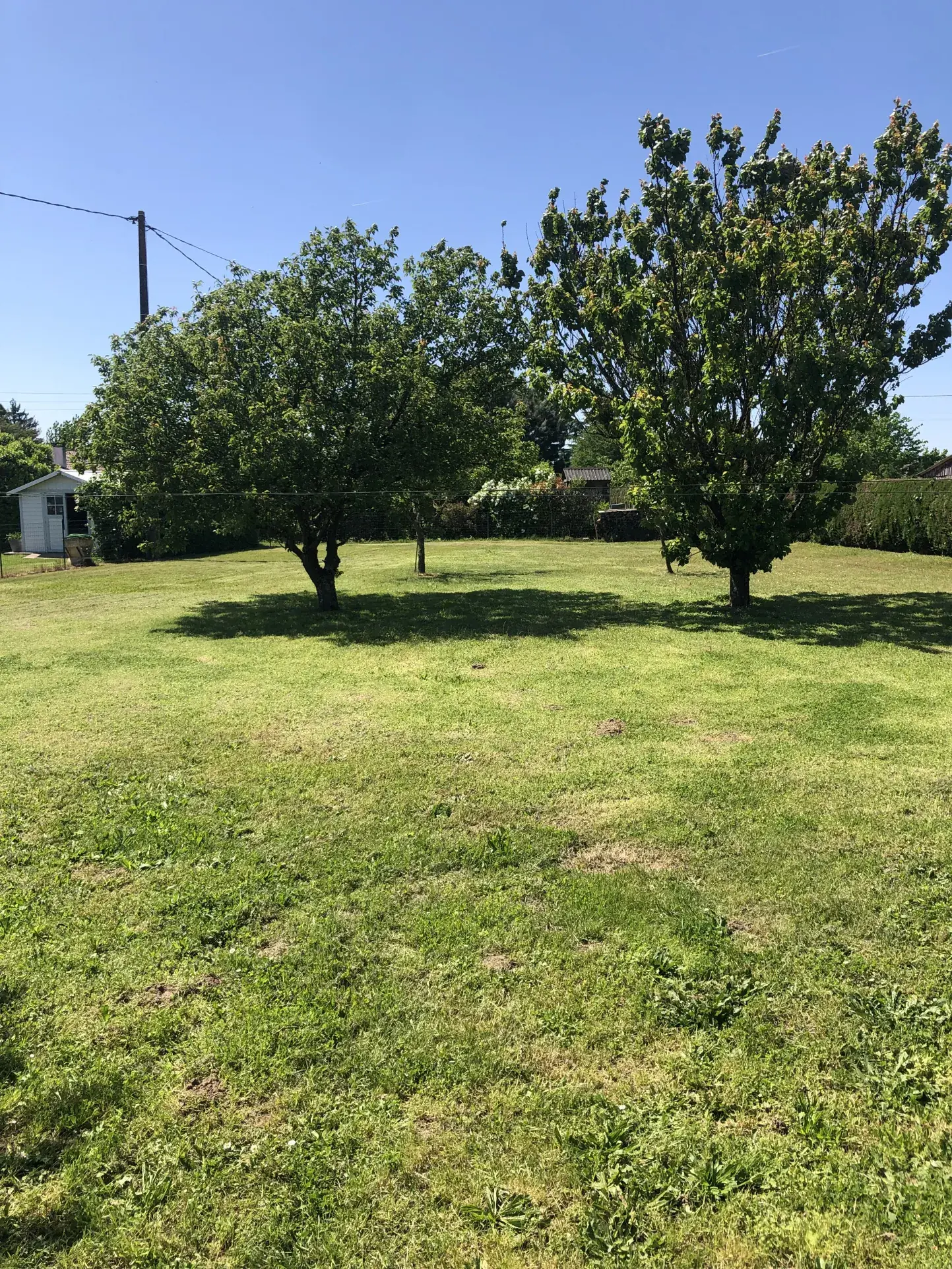 Charmante maison girondine de 120 m² avec dépendance et grand terrain entre La Réole et Marmande 