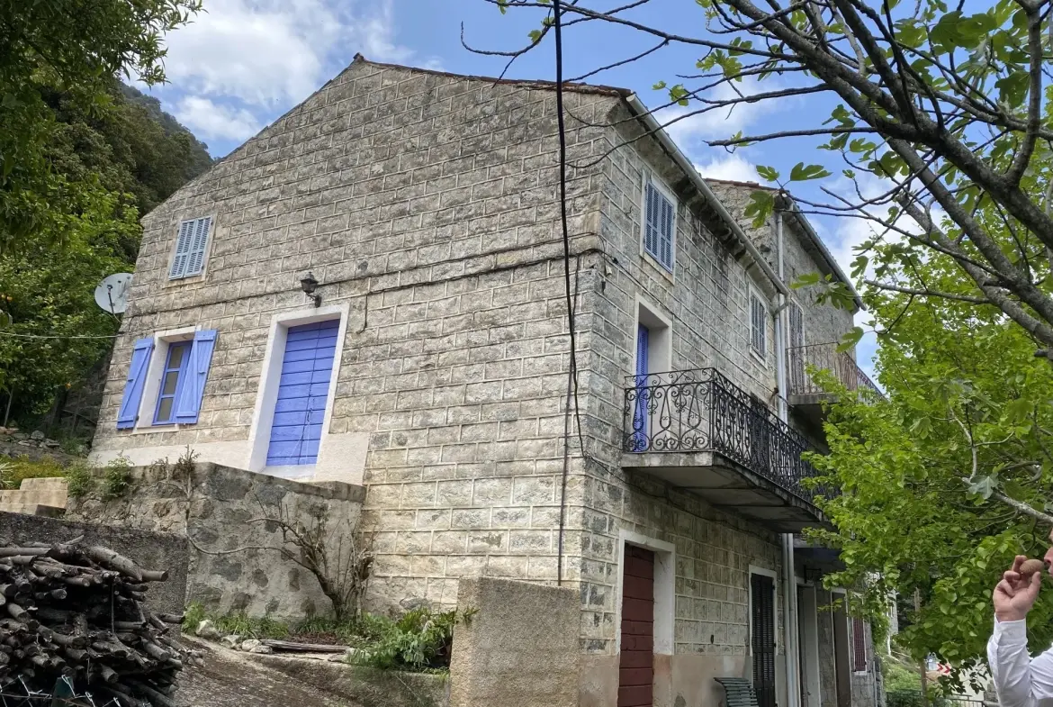 Maison de village spacieuse avec terrain à Loreto di Tallano 