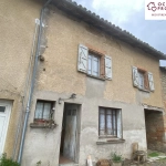 Maison de village à rénover à L Isle en Dodon, proche rivière et commerces