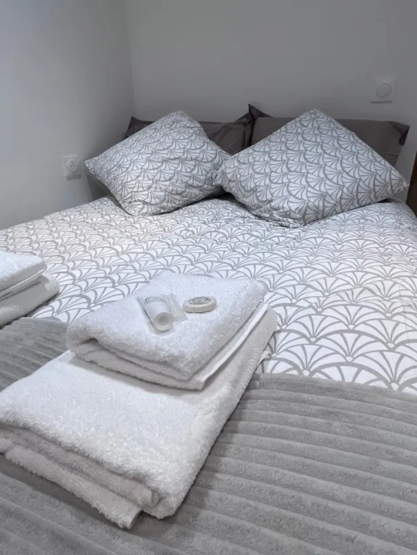 Appartement T2 rénové à Lons-le-Saunier, locataire en place – Investissement sûr 