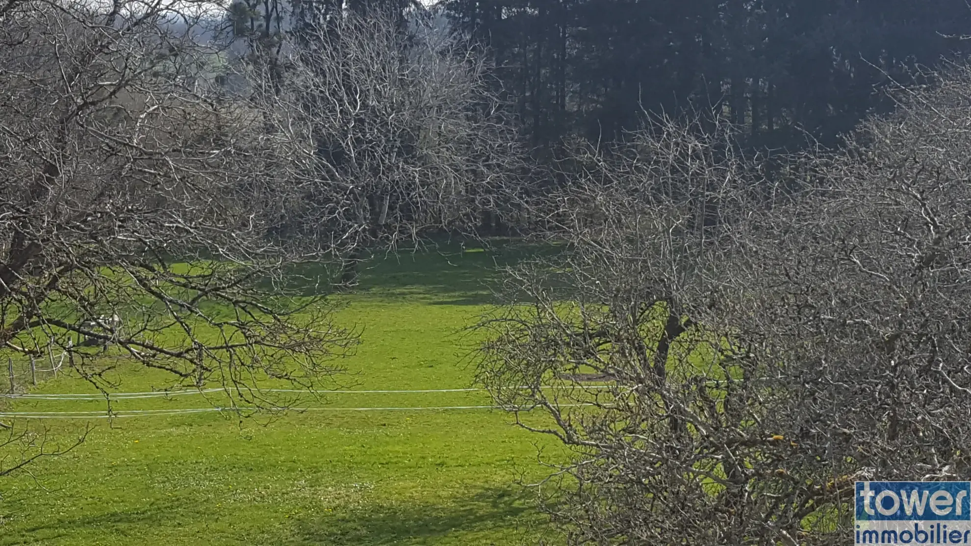 Grande maison avec dépendances et terrain en Périgord vert – Opportunité unique 