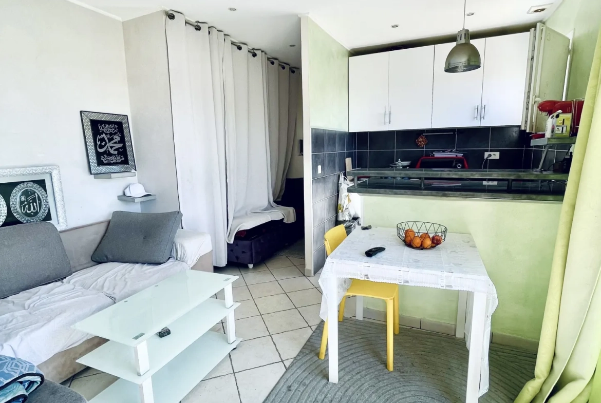Studio lumineux avec balcon et vue montagne à Nice - idéal investissement ou résidence principale 