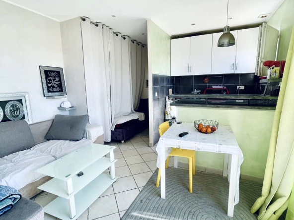 Studio lumineux avec balcon et vue montagne à Nice - idéal investissement ou résidence principale 