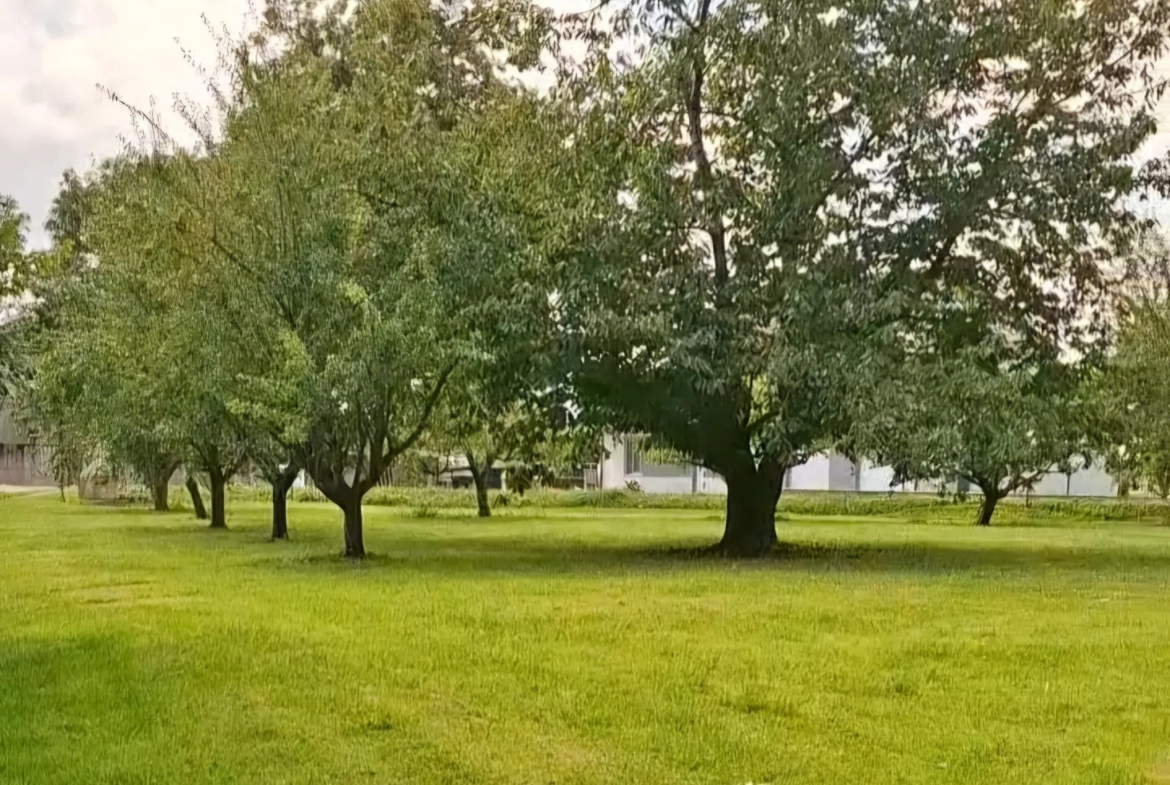Terrain à bâtir de 900 m² à Alaincourt-la-Côte à 20 minutes de Metz 