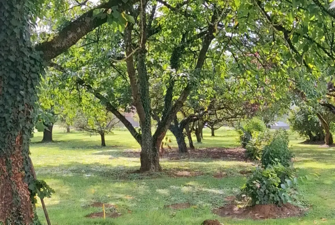 Terrain à bâtir de 900 m² à Alaincourt-la-Côte à 20 minutes de Metz 