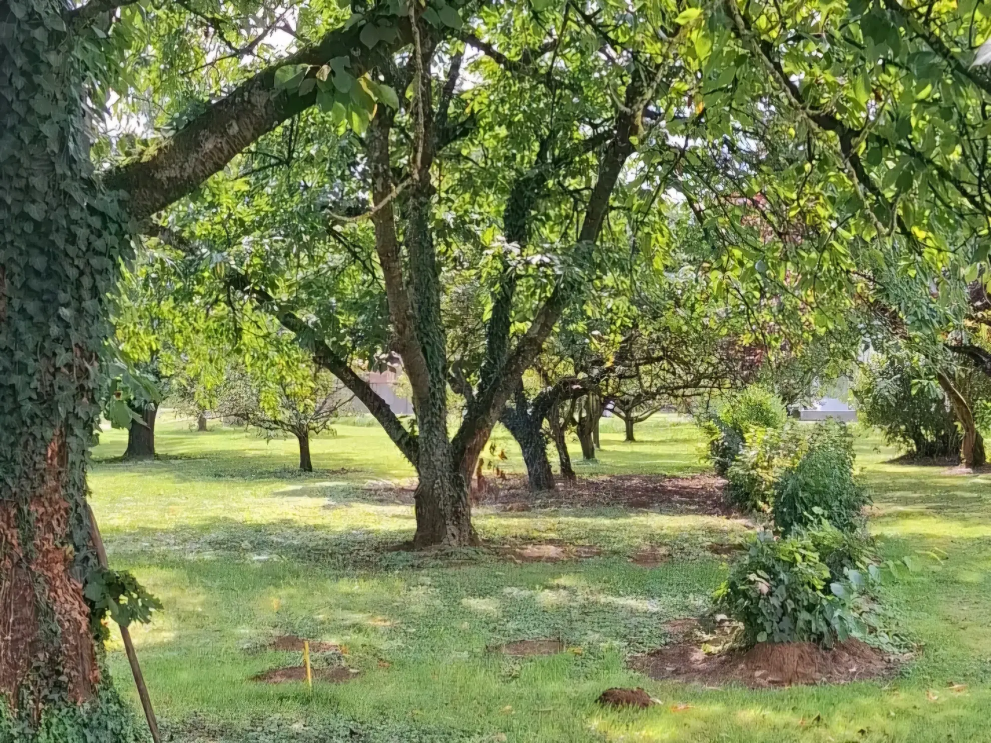 Terrain à bâtir de 900 m² à Alaincourt-la-Côte à 20 minutes de Metz 