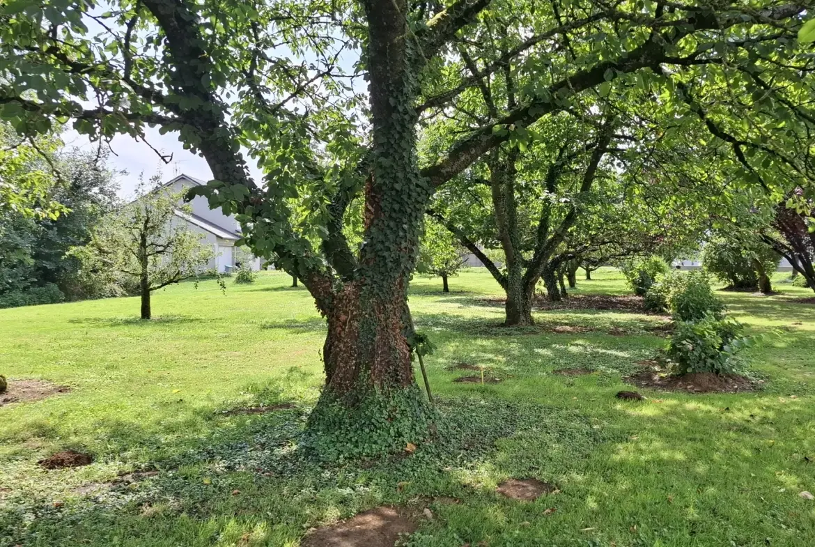 Terrain à bâtir de 900 m² à Alaincourt-la-Côte à 20 minutes de Metz 
