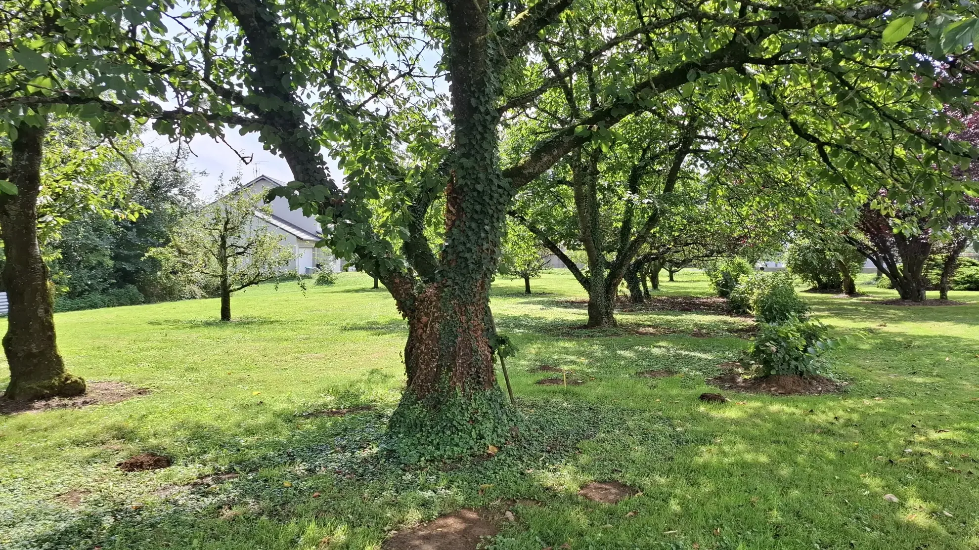 Terrain à bâtir de 900 m² à Alaincourt-la-Côte à 20 minutes de Metz 